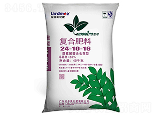 �����͏�(f��)�Ϸ���24-10-16-ī��-������