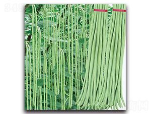 ���Ѷ���-���ǷN��-�F(xi��n)������