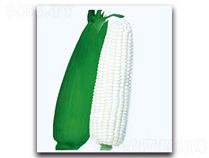 ��Ŵ2̖����-Ŵ���׷N��-�F(xi��n)������