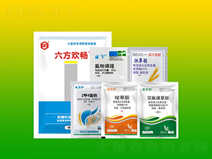 С�����ó��݄����b-�����g��-����