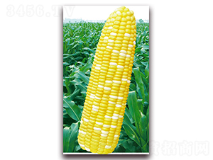 �f��2015-�����׷N��-�A��N�I(y��)