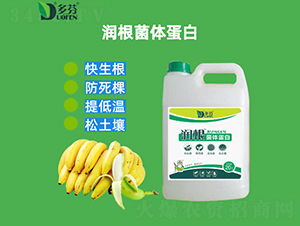 �������w����-����r(n��ng)�I(y��)