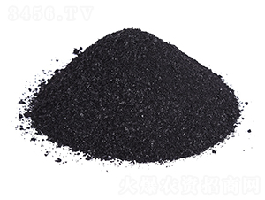 �VԴ�S�����-�𺣵|