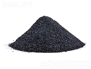 Ƭ�ֲ���-�𺣵|