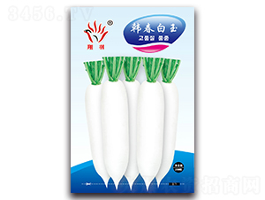 �n������-�}���N��-���ܷN�I(y��)