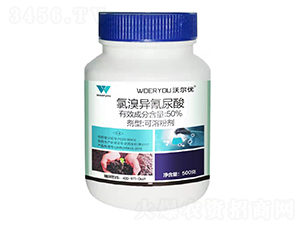 50%���宐��������ܷۄ�-�֠���(y��u)