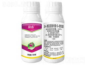 24���|̦�؃�(n��i)����S-�T���أ�500�ˣ�-΢ʢ-���r(n��ng)����