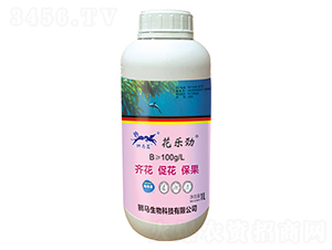 Һ�w����-������-�{�R�{(l��n)