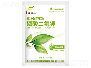 ��������-�G���-�κ�����