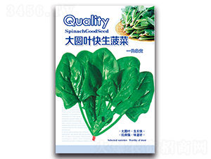 ��A�~��������-���˷N��-���ܷN�I(y��)