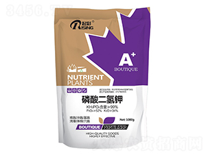 ��������-���-Ӣ��