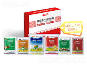 ����߮a(ch��n)�����ײͣ�6��1��-�����