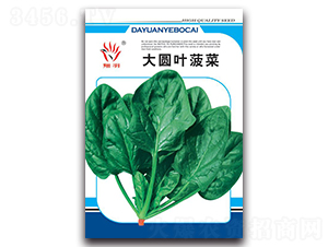 ��A�~����-���˷N��-���ܷN�I(y��)