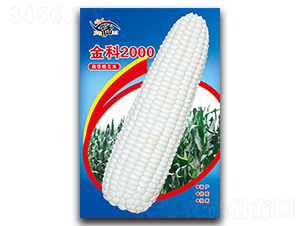 ���2000-Ŵ���׷N��-���ܷN�I(y��)