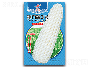 ���Ŵ3̖-Ŵ���׷N��-���ܷN�I(y��)