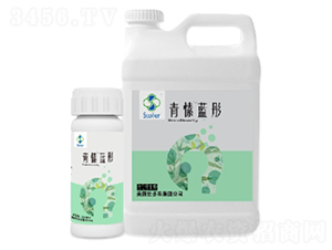 ����{ͮ-������