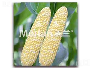 ������003-�����׷N��-�G��