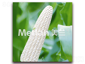 ������-Ŵ���׷N��-�G��