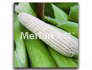 �������Ŵ20̖-��Ŵ���׷N��-�G��