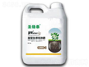 ʥ��(w��n)̩���������طN��-����r��