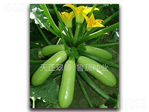 ������G-�����J�N��-���߷N�I(y��)