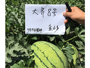 ���R��̖(h��o)-���ϷN��-���R�r(n��ng)�I(y��)