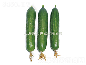 ��G03-�S�ϷN��-�ݺͷN�I(y��)