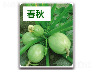 �G��-�����J�N��-����N��