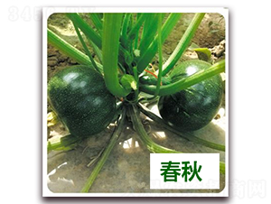 ����-�����J�N��-����N��