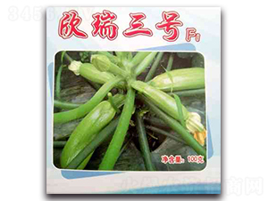 ������̖-�����J�N��-����N��