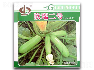 �����̖-�����J�N��-����N��