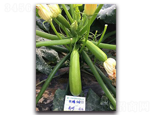 ����1308-�����J�N��-����N��