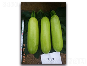 ����323-�����J�N��-����N��