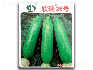 ����26̖-�����J�N��-����N��