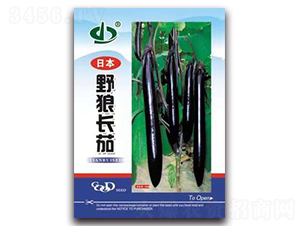 Ұ���L��-���ӷN��-����N��