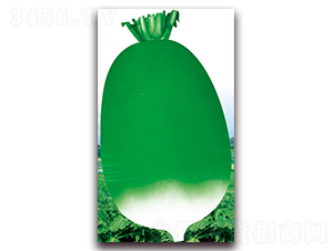 �¿�791-�}���N��-��ʥ��