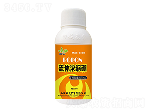 ���w��s��-�￡�ʘI(y��)