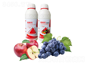 ֲ�����L�{(di��o)��(ji��)��-���ܼtAB�b-���{��