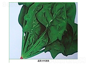 ������~����-���˷N��-�(y��u)�r(n��ng)�I(y��)