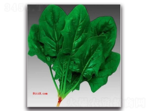 �(y��u)�A�~����-���˷N��-�(y��u)�r(n��ng)�I(y��)