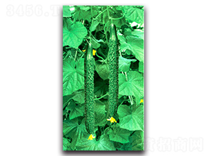 ����(j��)����һ̖(h��o)-�S�ϷN��-�(y��u)�r(n��ng)�I(y��)