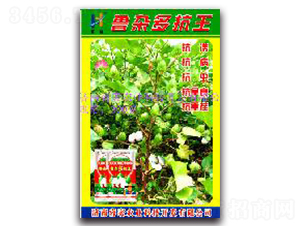 魯雜多抗王-棉花種子-睿優(yōu)農(nóng)業(yè)