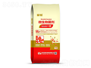 ΢�������-���