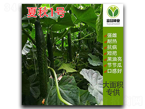 ����1̖(h��o)-�S�ϷN��-���@�N�I(y��)