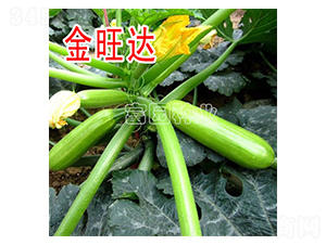 �����_(d��)-�����J�N��-���@�N�I(y��)