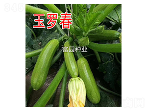 ���_��-�����J�N��-���@�N�I(y��)