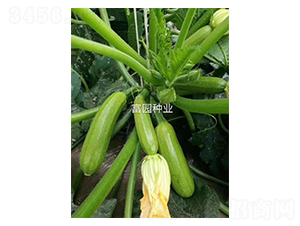 ����303-�����J�N��-���@�N�I(y��)