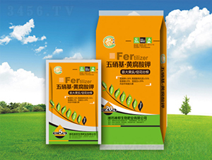 ������-�S�����-�������