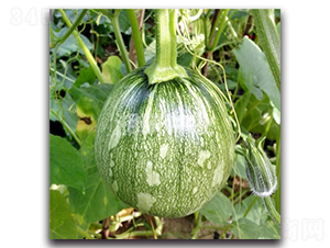 ��������-�ϹϷN��-���зN�I(y��)