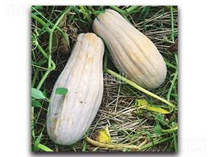 �����䃞(y��u)�۱��Ϲ�-�ϹϷN��-���зN�I(y��)